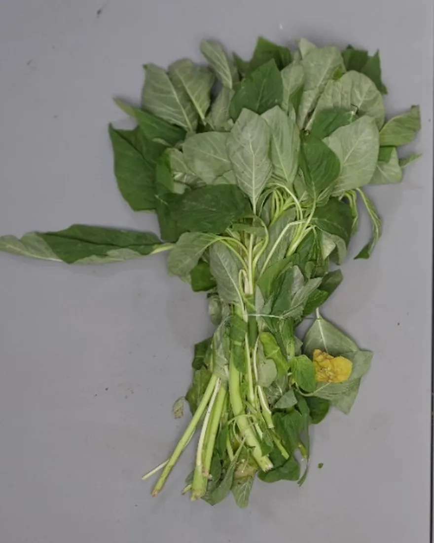 Leafy greens before treatment
